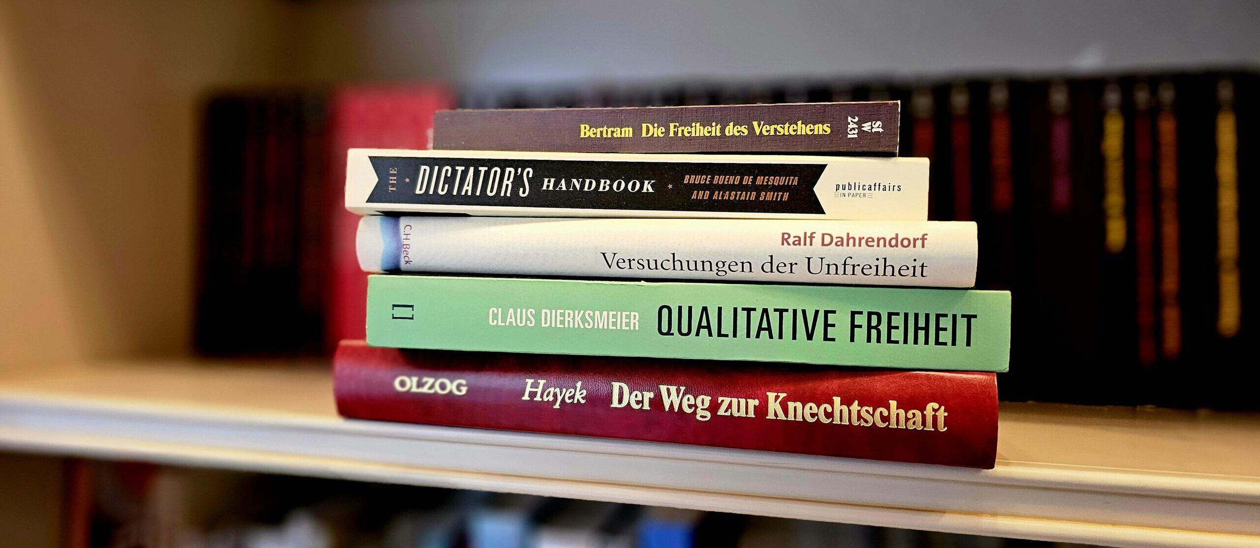 Grundgesetz: Schranken sichern keine Freiheit